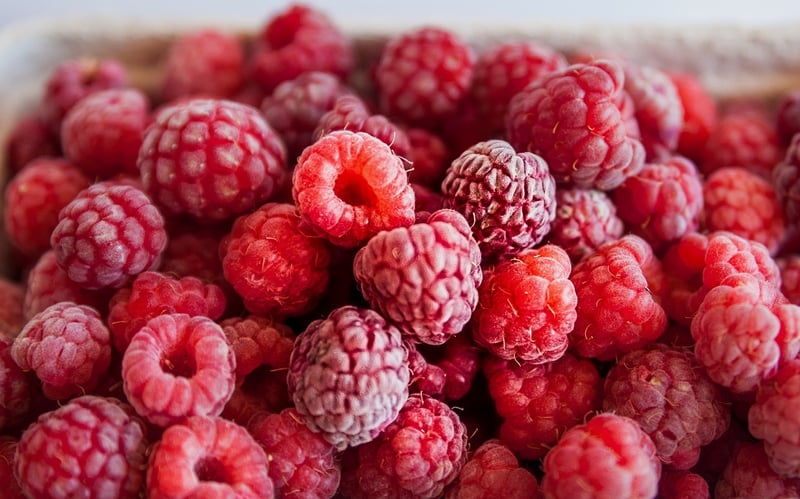 Wild Harvest